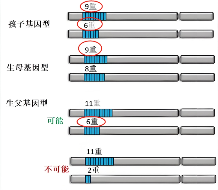 http://www.zhilee.cn/uploads/allimg/240629/1H33035S-1.png http://www.zhilee.cn/uploads/allimg/240629/1H33035S-1.png
